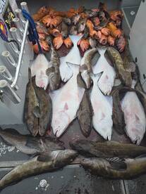 Washington Coast Report Photo 1