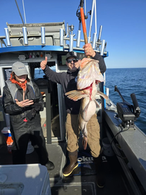 Washington Coast Report Photo 2