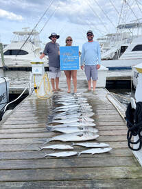 Wanchese Report Photo 2
