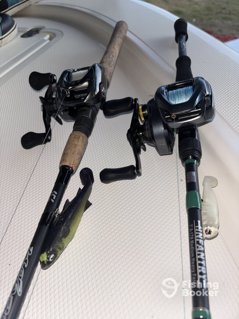 bait caster