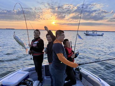 Rowlett Report Photo 3