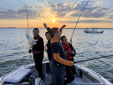 Rowlett Report Photo 2