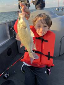 125 White Bass on Lavon