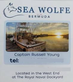 Water has warmed, fish are biting!