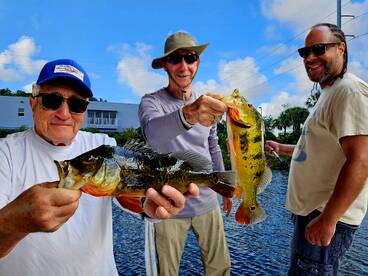 Delray Beach Report Photo 2