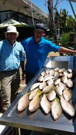 CALM SEAS LOTS OF YELLOWTAIL 