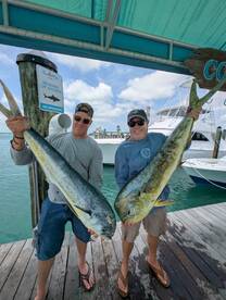 Mahi everyday this week!