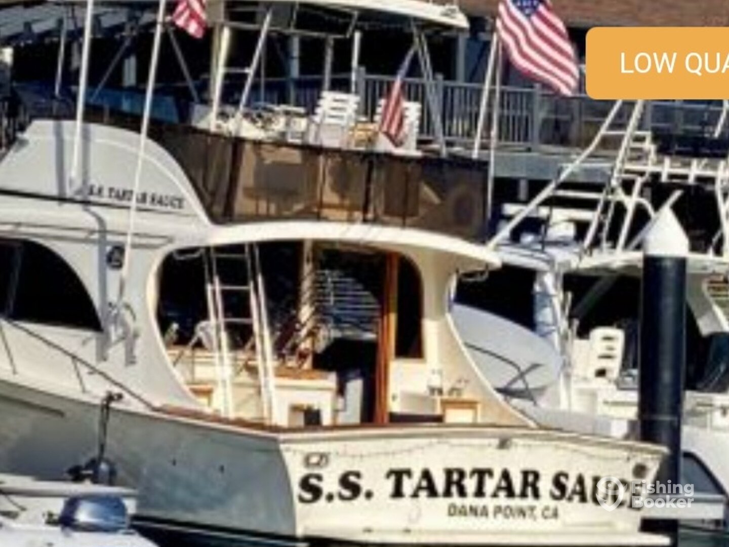 Dana Point Report Photo 0