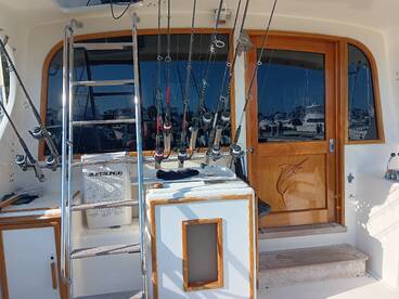 Dana Point Report Photo 2
