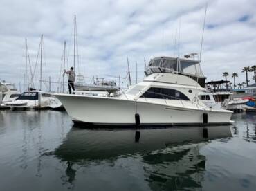 Dana Point Report Photo 1