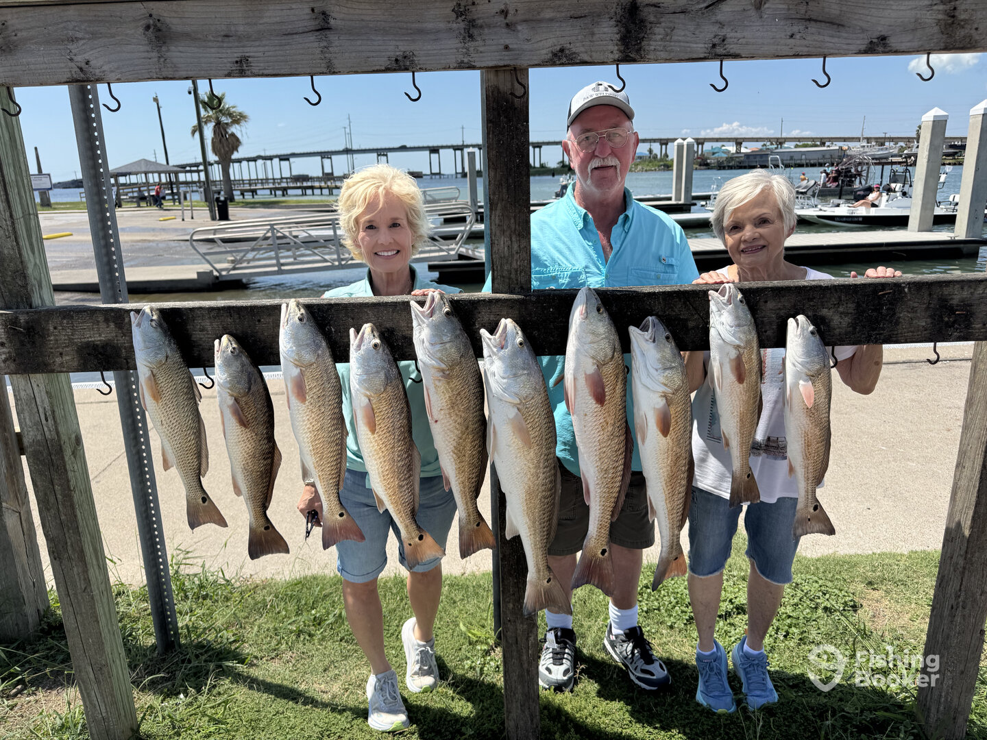 Port Aransas Report Photo 0