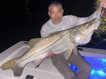 TROPHY SNOOK