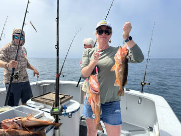 Oceanside Report Photo 2