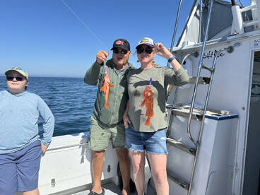 Oceanside Report Photo 1