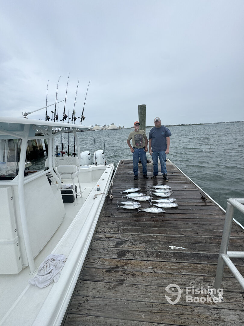 Beaufort Report Photo 0