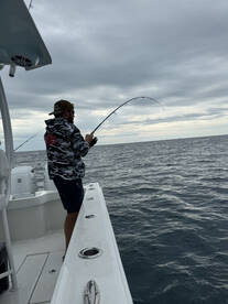 Beaufort Report Photo 1