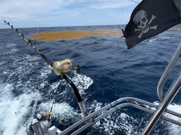 Morehead City Report Photo 2