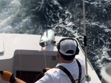 Rough seas didnt stop us from finding th