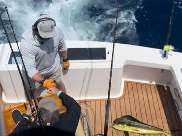 Morehead City Report Photo 1