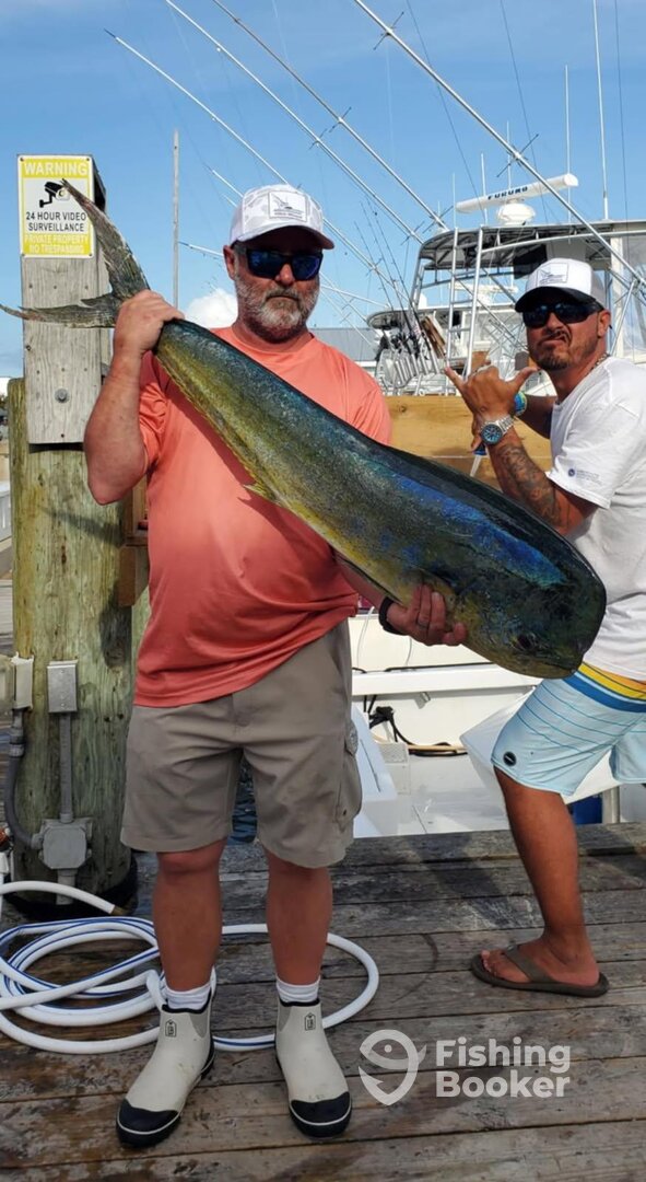 Morehead City Report Photo 0