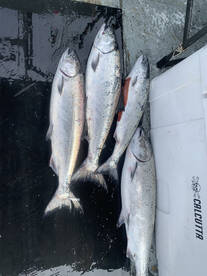 The latest Red Can Charters catch from y