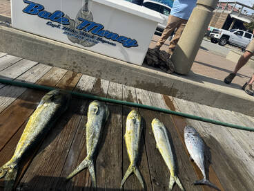 Morehead City Report Photo 1