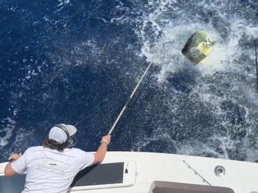 Morehead City Report Photo 2