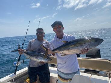 Puerto Vallarta Report Photo 2