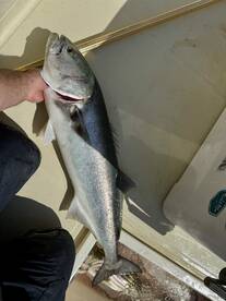Keyport Report Photo 2