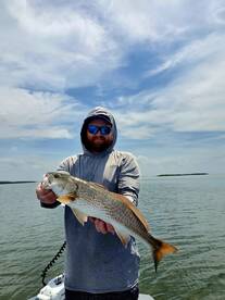 Crystal River Report Photo 2