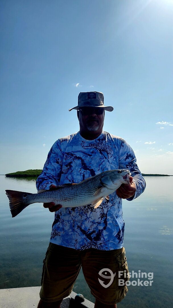 Crystal River Report Photo 0