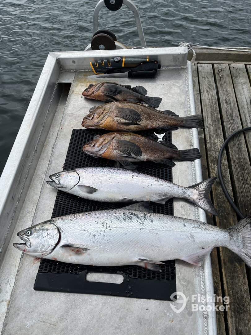 Sooke Report Photo 0