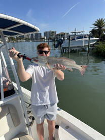 Belleair Bluffs Report Photo 1