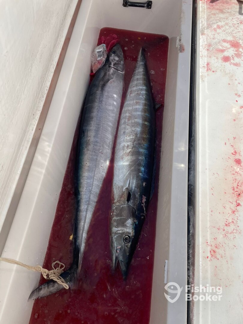 Cabo San Lucas Report Photo 0