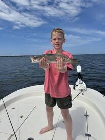 Holmes Beach Report Photo 2