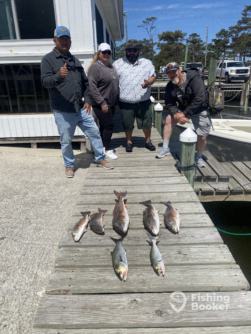 Wanchese Report Photo 0