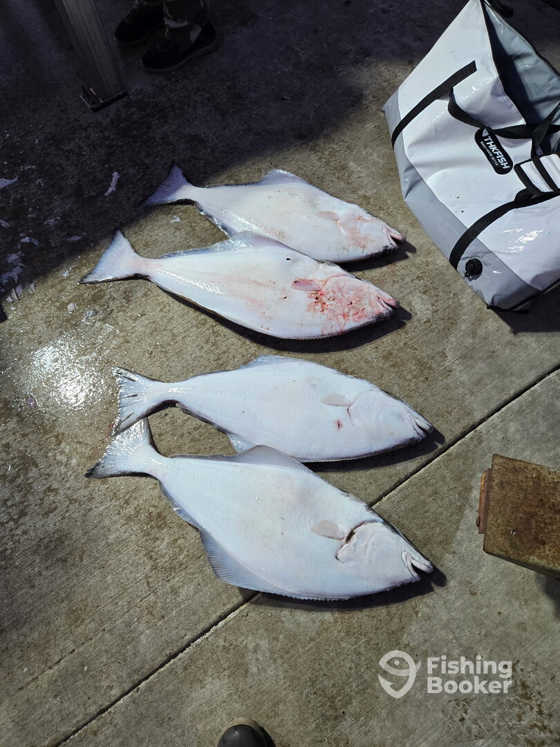 Winchester Bay Report Photo 0