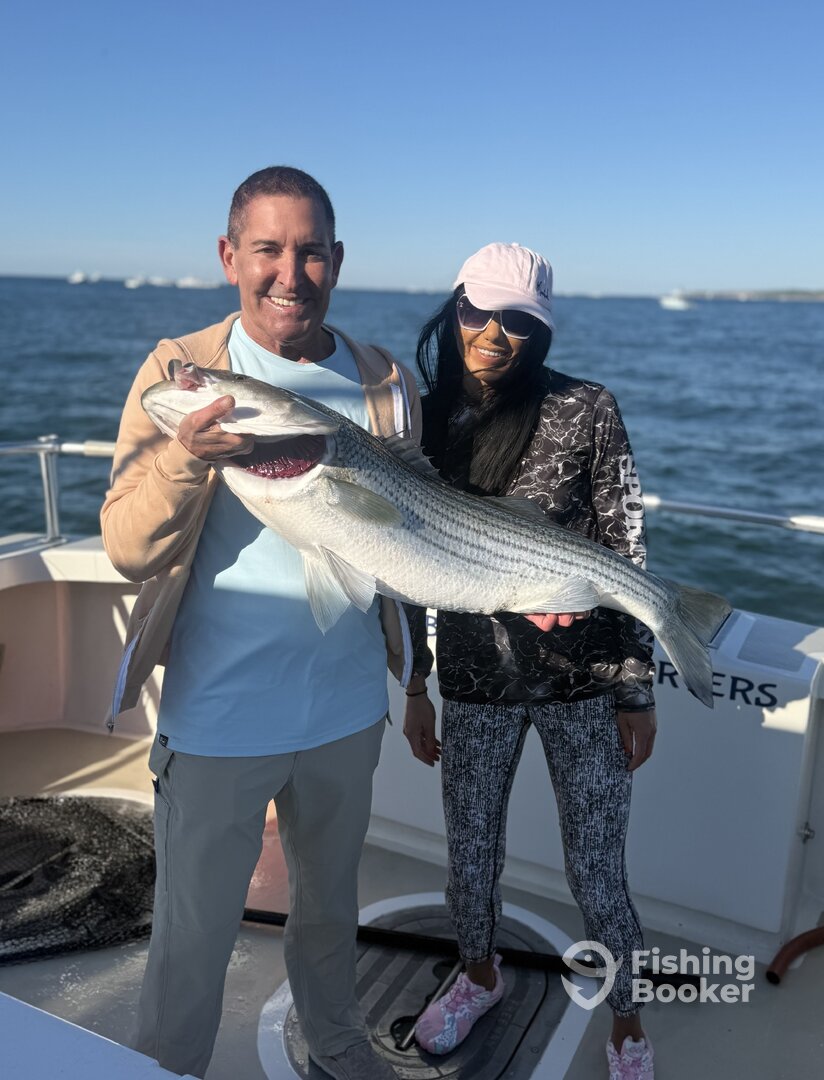 Montauk Report Photo 0