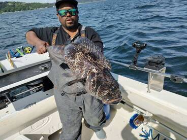 Strong Lingcod fiahing