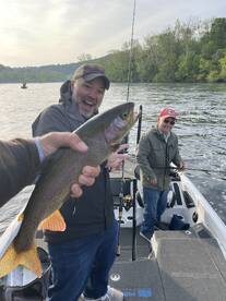 Branson Report Photo 1