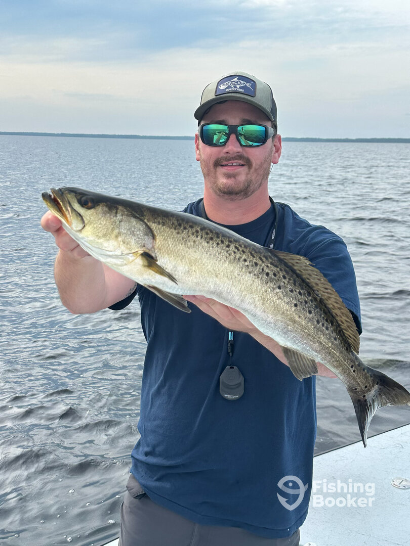 Crawfordville Report Photo 0