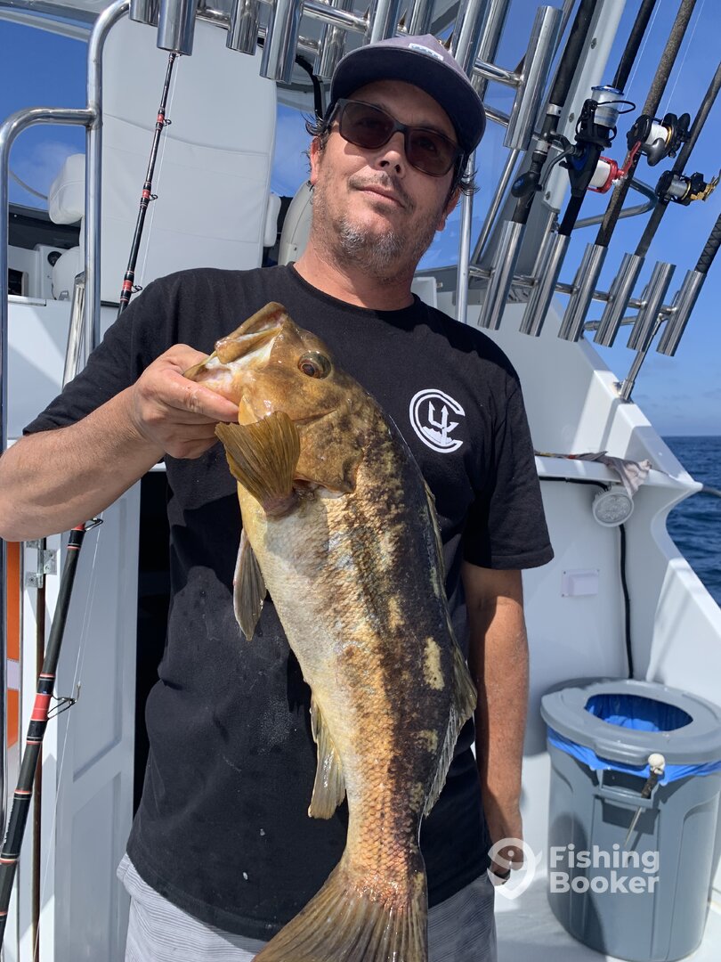 Dana Point Report Photo 0