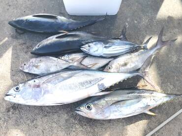 Cape Verde Report Photo 2