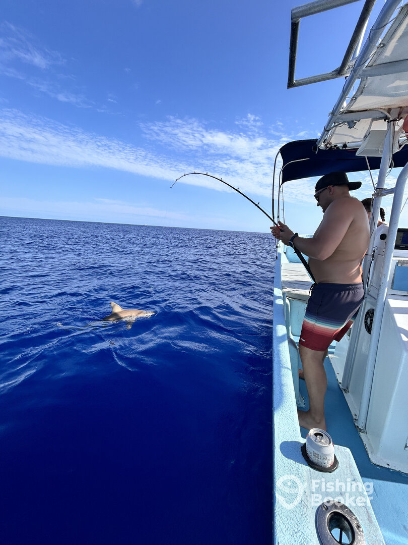 Cozumel Report Photo 0