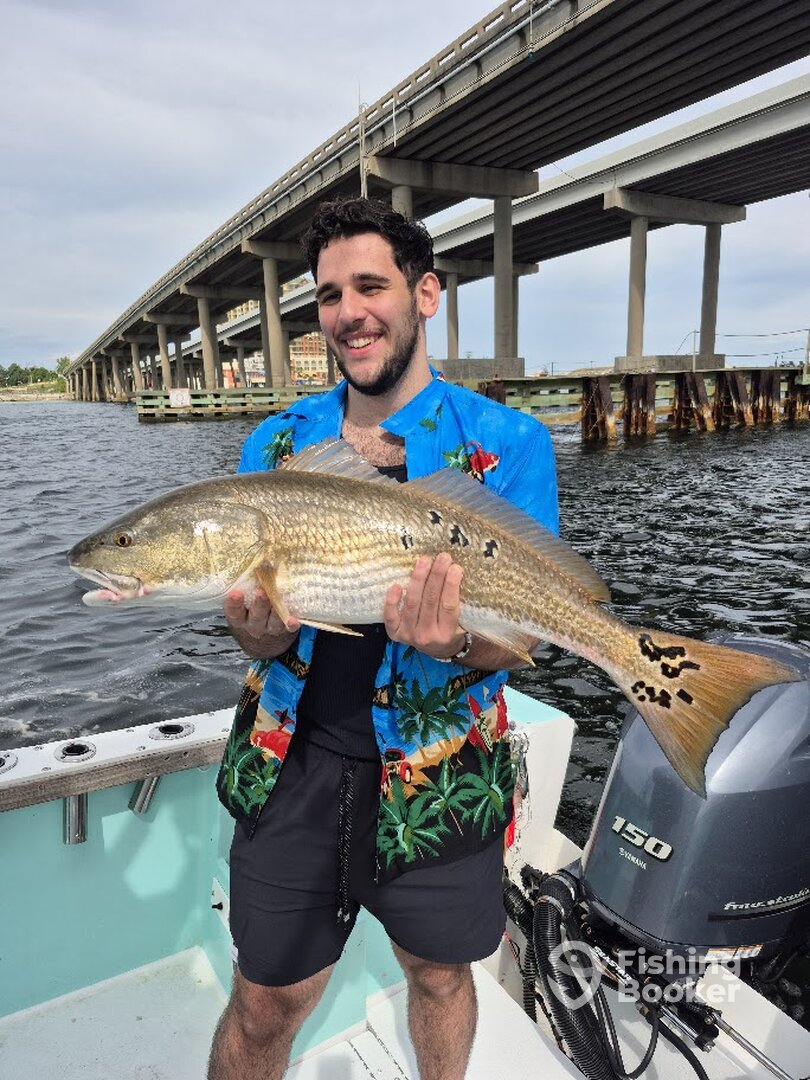 Destin Report Photo 0