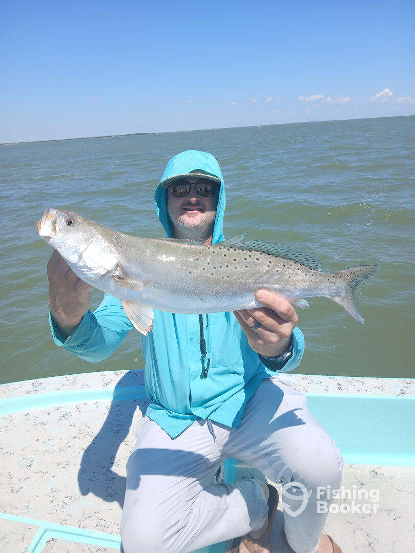 South Padre Island Report Photo 0
