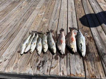Pensacola Report Photo 2