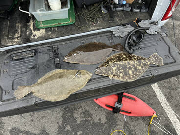 Brick Township Report Photo 2