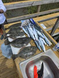 Murrells Inlet Report Photo 2