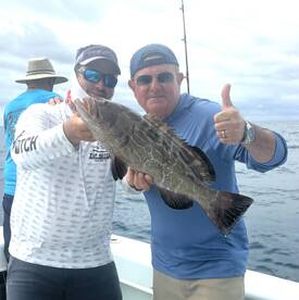 Grouper time! 